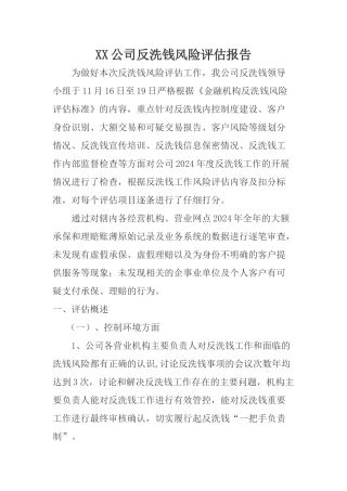 公司反洗钱风险评估报告