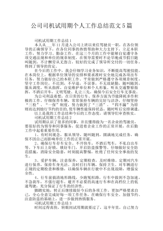 公司司机试用期个人工作总结范文5篇