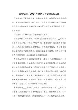 公司各部门2024年团队合作活动总结五篇