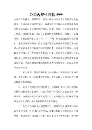 公司合规性评价报告