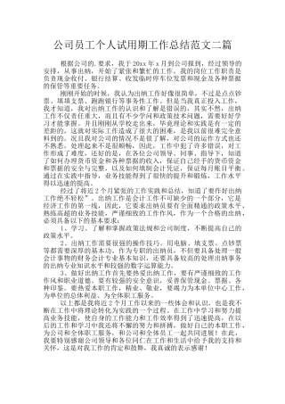 公司员工个人试用期工作总结范文二篇