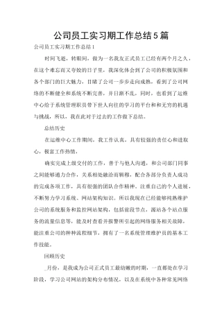 公司员工实习期工作总结5篇