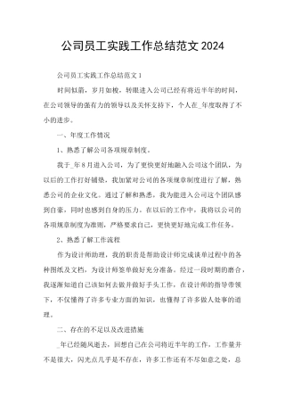 公司员工实践工作总结范文2024