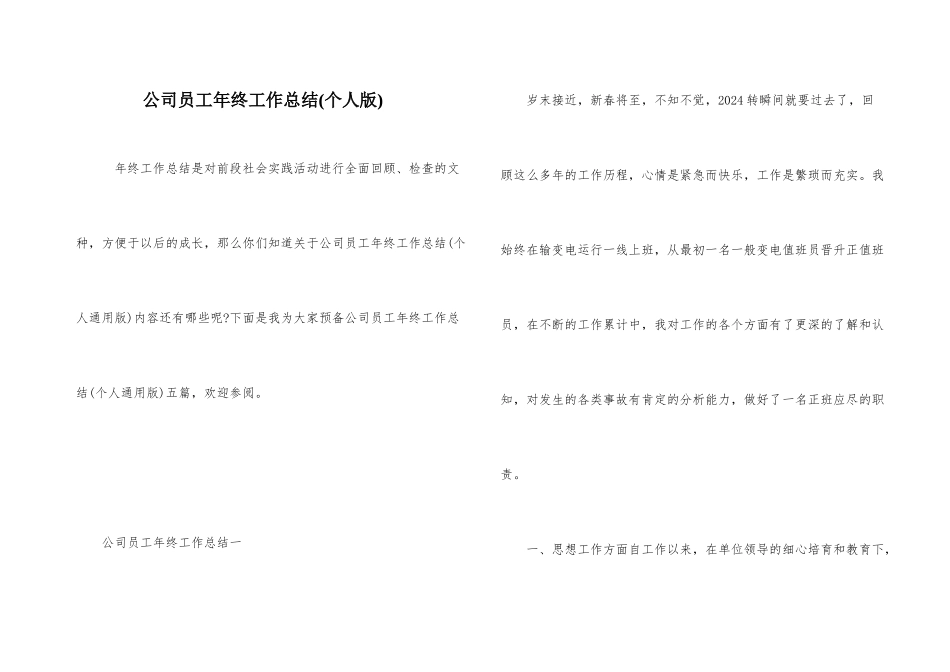 公司员工年终工作总结(个人版)_第1页