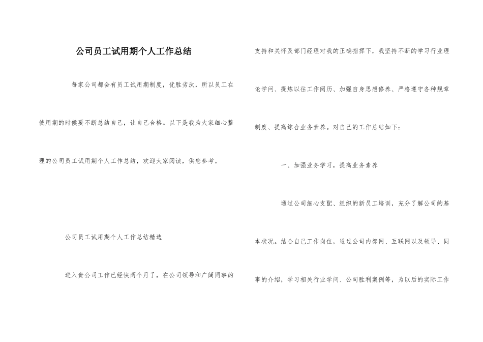 公司员工试用期个人工作总结_第1页