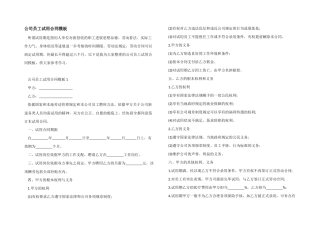 公司员工试用合同模板