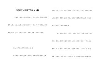 公司员工试用期工作总结5篇