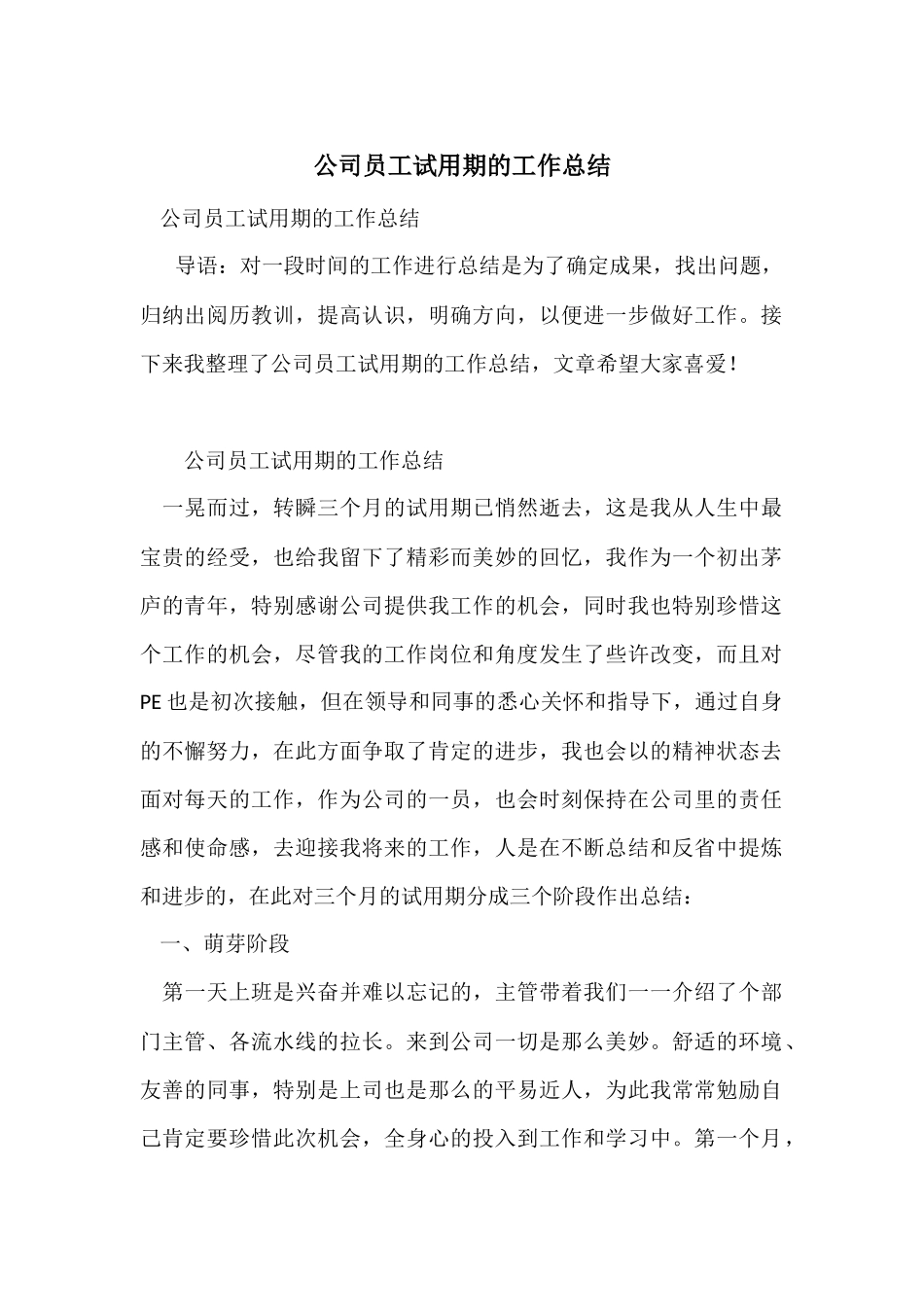 公司员工试用期的工作总结_第1页