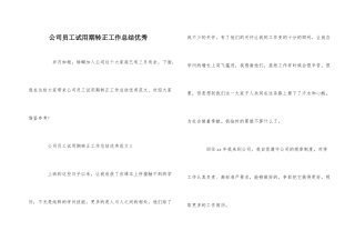 公司员工试用期转正工作总结优秀