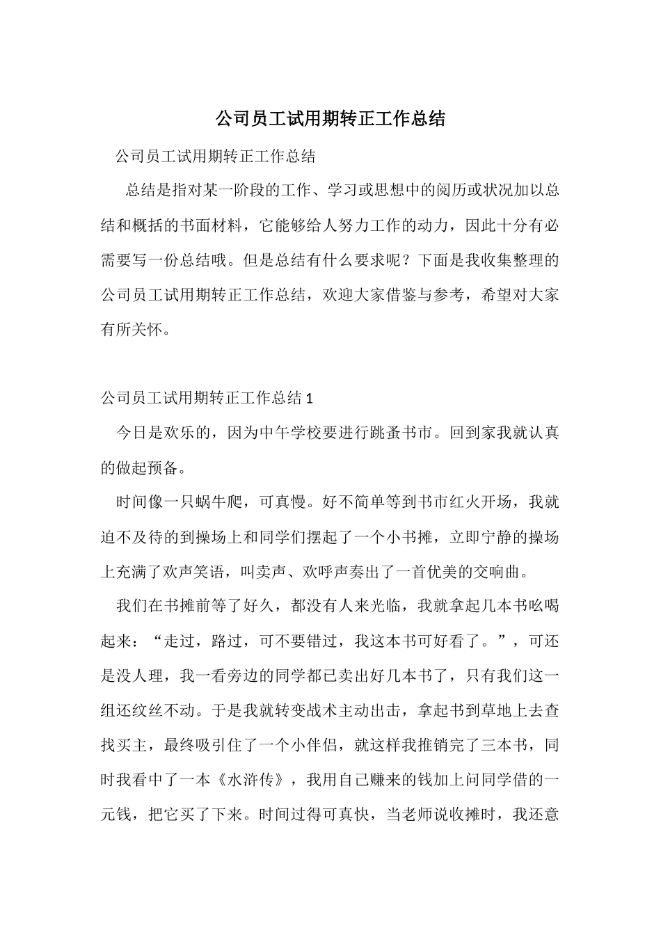 公司员工试用期转正工作总结_第1页