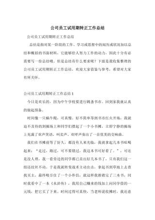 公司员工试用期转正工作总结