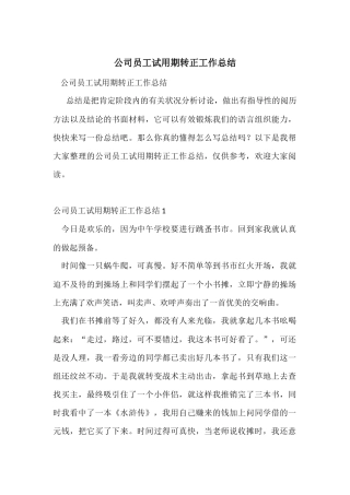 公司员工试用期转正工作总结-2
