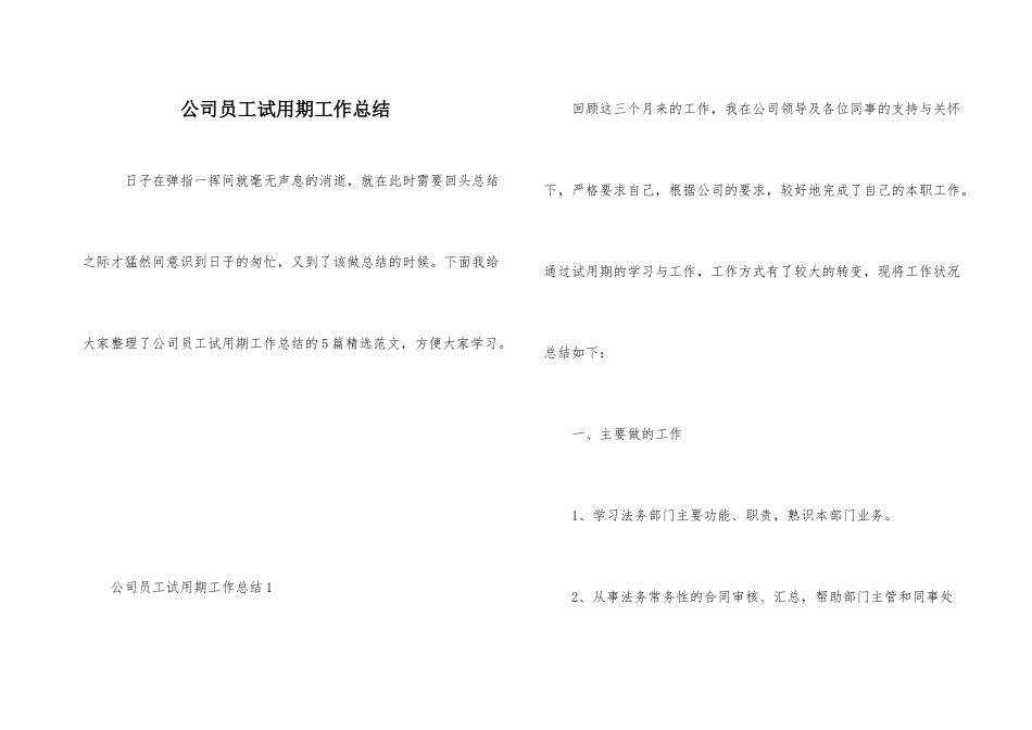 公司员工试用期工作总结_第1页