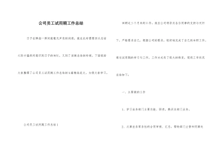 公司员工试用期工作总结