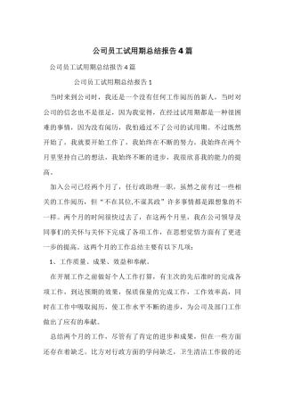 公司员工试用期总结报告4篇
