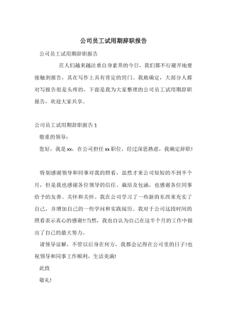 公司员工试用期辞职报告