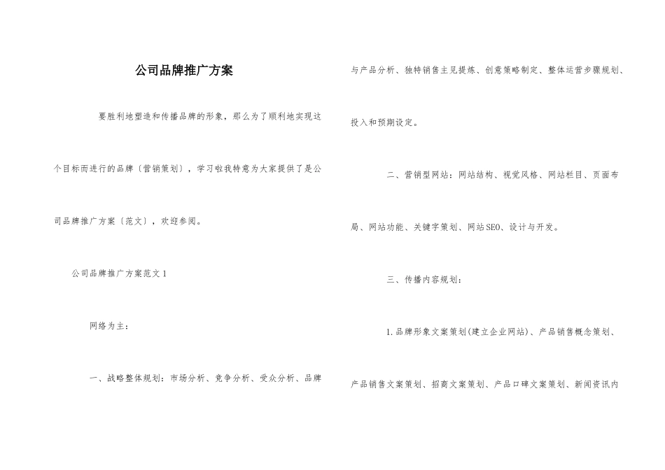 公司品牌推广方案_第1页
