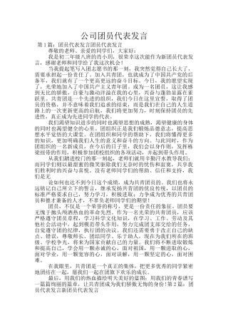 公司团员代表发言