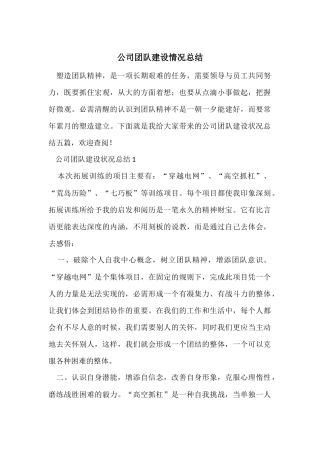 公司团队建设情况总结
