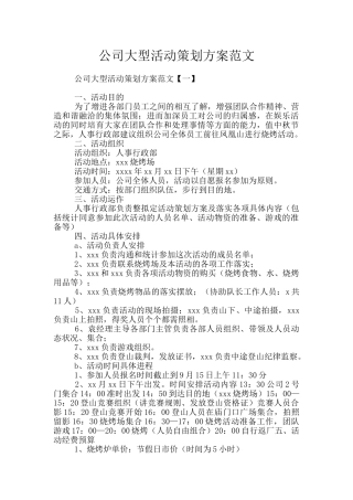 公司大型活动策划方案范文
