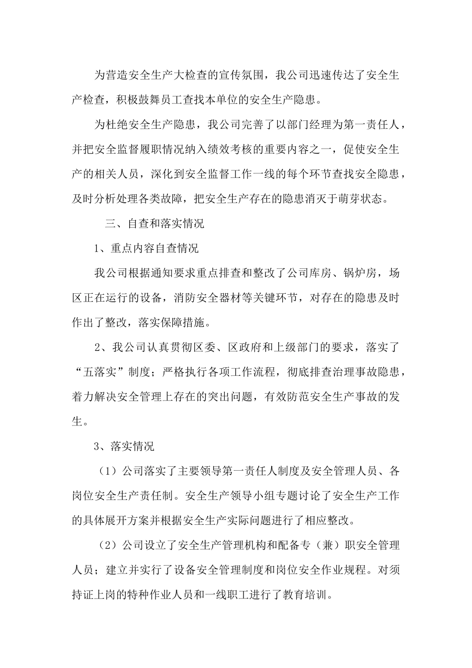 公司安全生产大检查工作总结_第2页