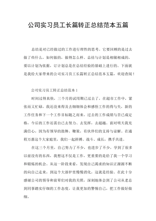 公司实习员工长篇转正总结范本五篇