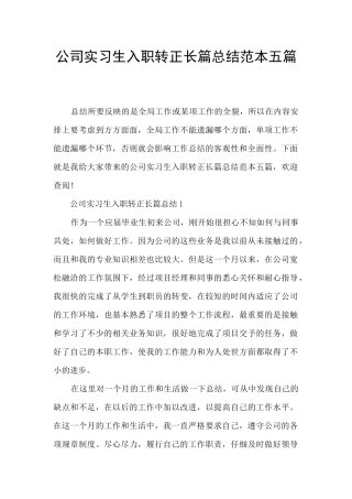 公司实习生入职转正长篇总结范本五篇