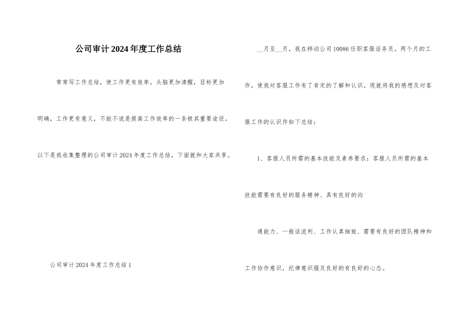 公司审计2024年度工作总结_第1页