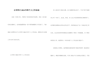 公司审计2024年终个人工作总结