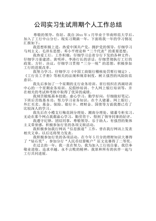 公司实习生试用期个人工作总结