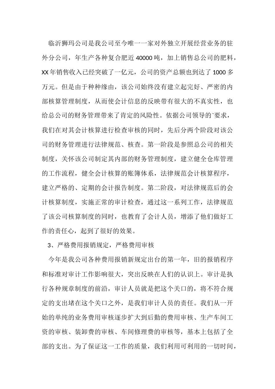 公司审计个人年终工作总结_第3页