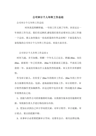 公司审计个人年终工作总结
