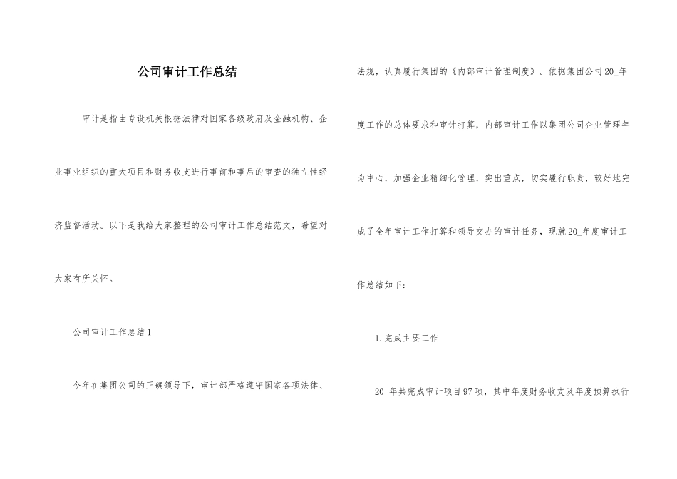 公司审计工作总结_第1页