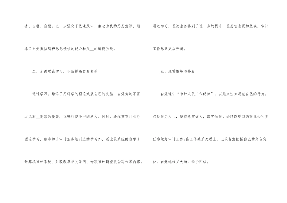 公司审计个人工作总结2024年_第2页