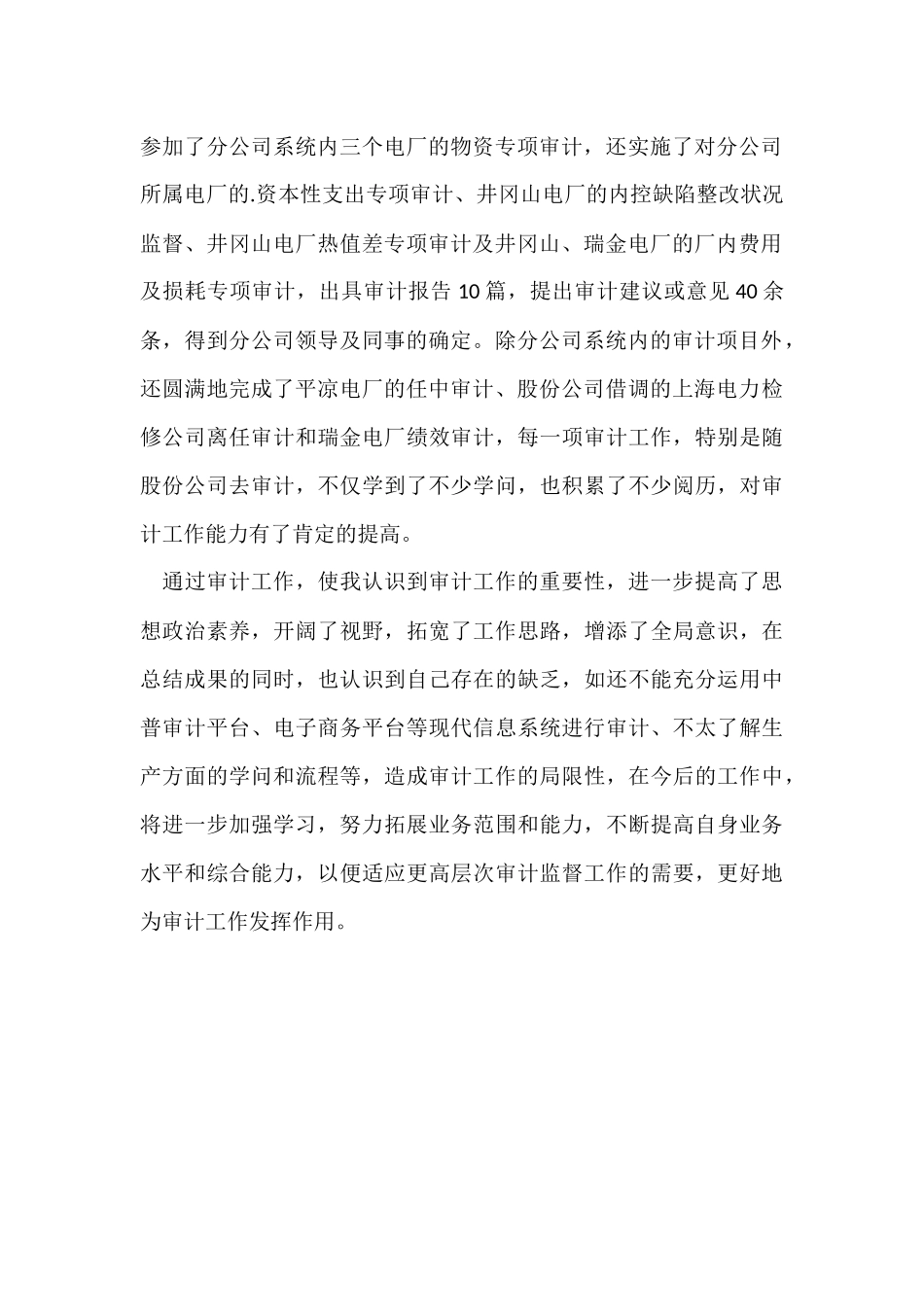 公司审计人员2024年工作总结_第2页