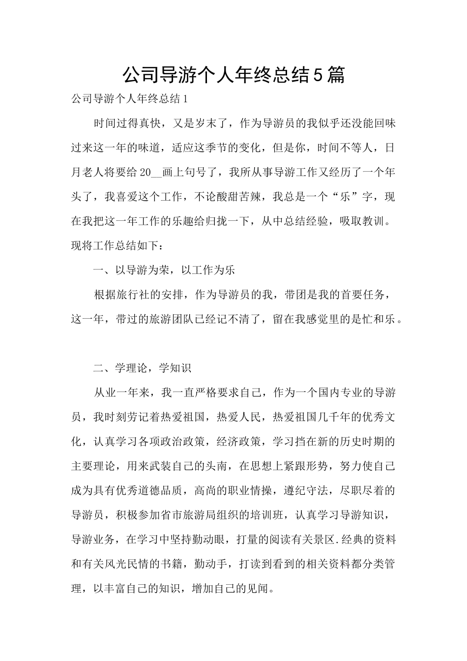 公司导游个人年终总结5篇_第1页