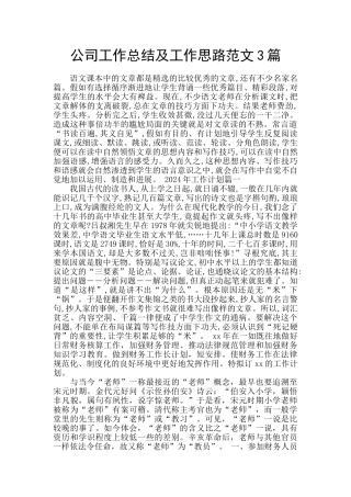 公司工作总结及工作思路范文3篇