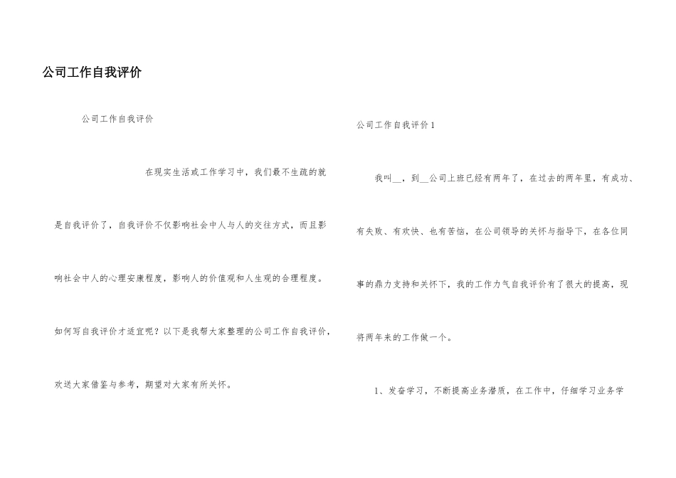 公司工作自我评价_第1页