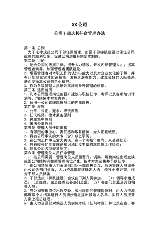 公司干部选拔任命管理办法