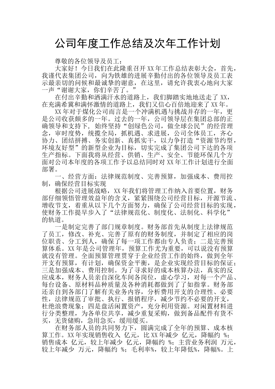 公司年度工作总结及次年工作计划_第1页