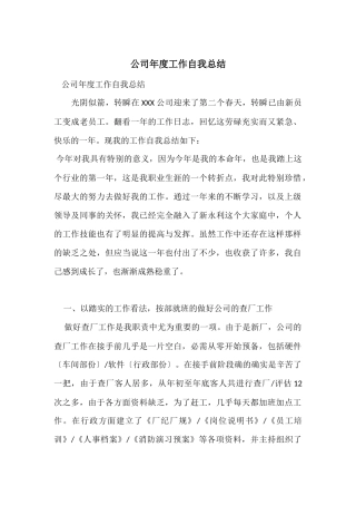 公司年度工作自我总结