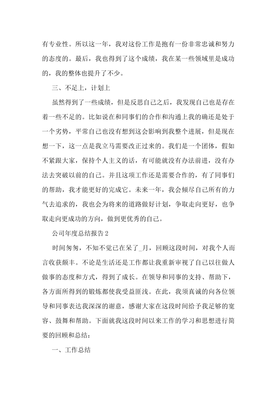 公司年度总结报告50篇_第2页