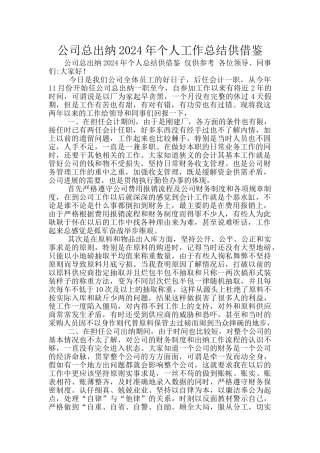 公司总出纳2024年个人工作总结供借鉴