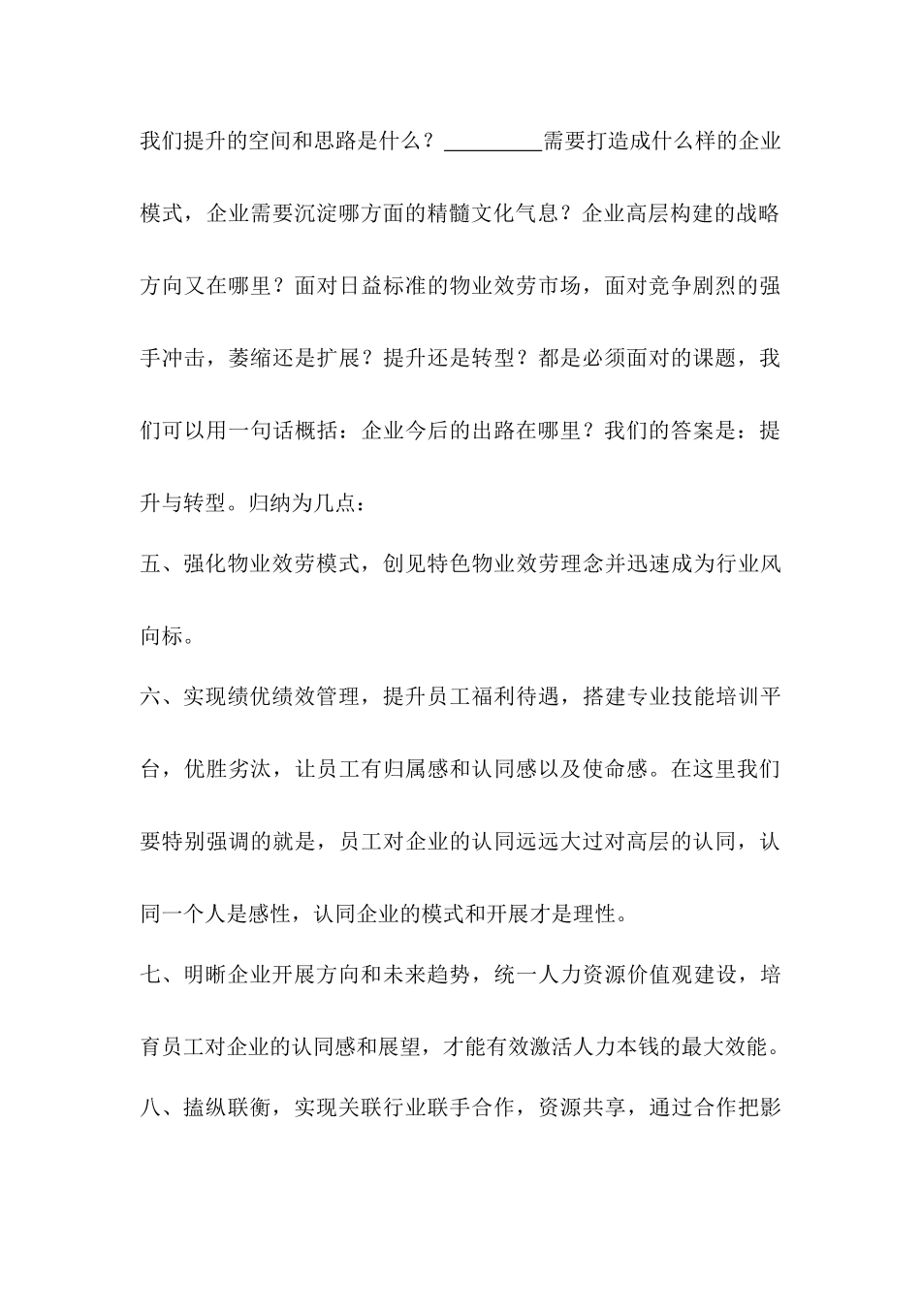 公司战略展望_第3页