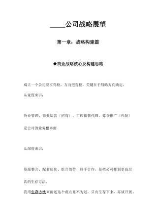 公司战略展望