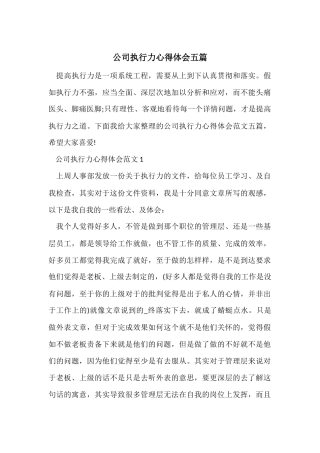 公司执行力心得体会五篇