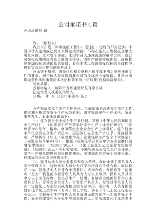 公司承诺书4篇