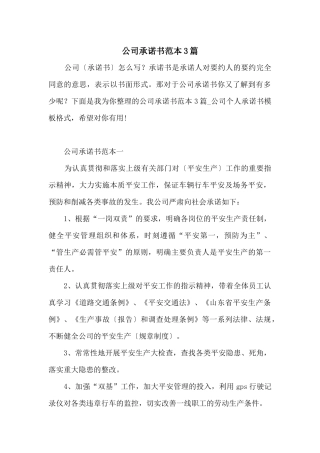 公司承诺书范本3篇