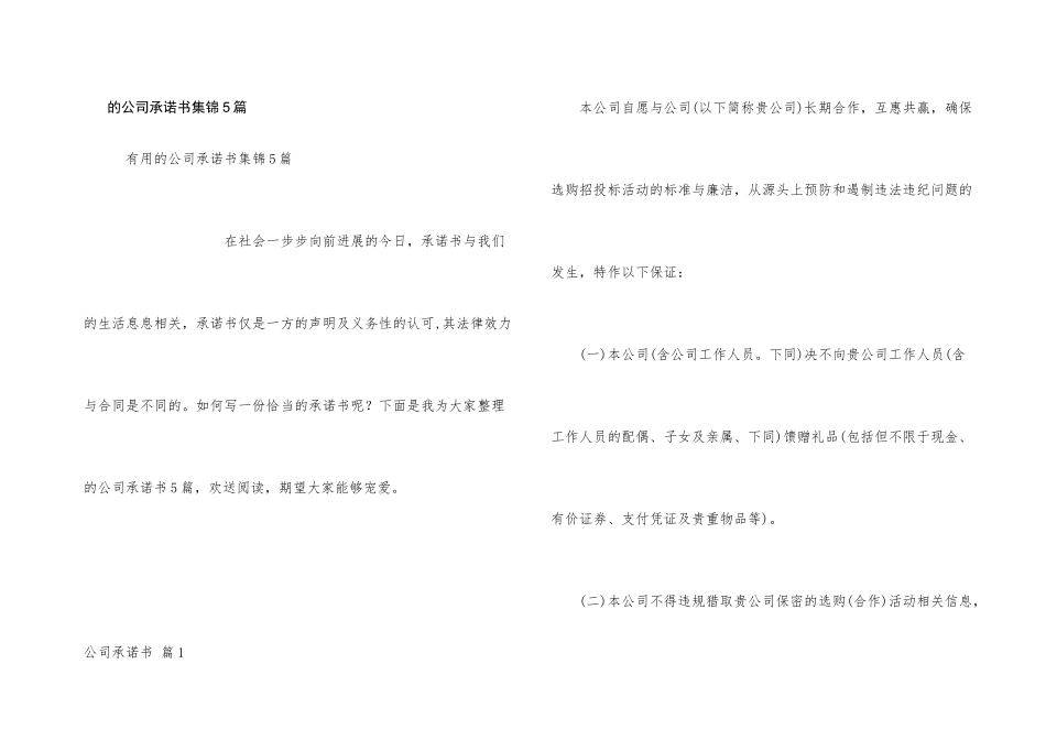 公司承诺书集锦5篇_第1页