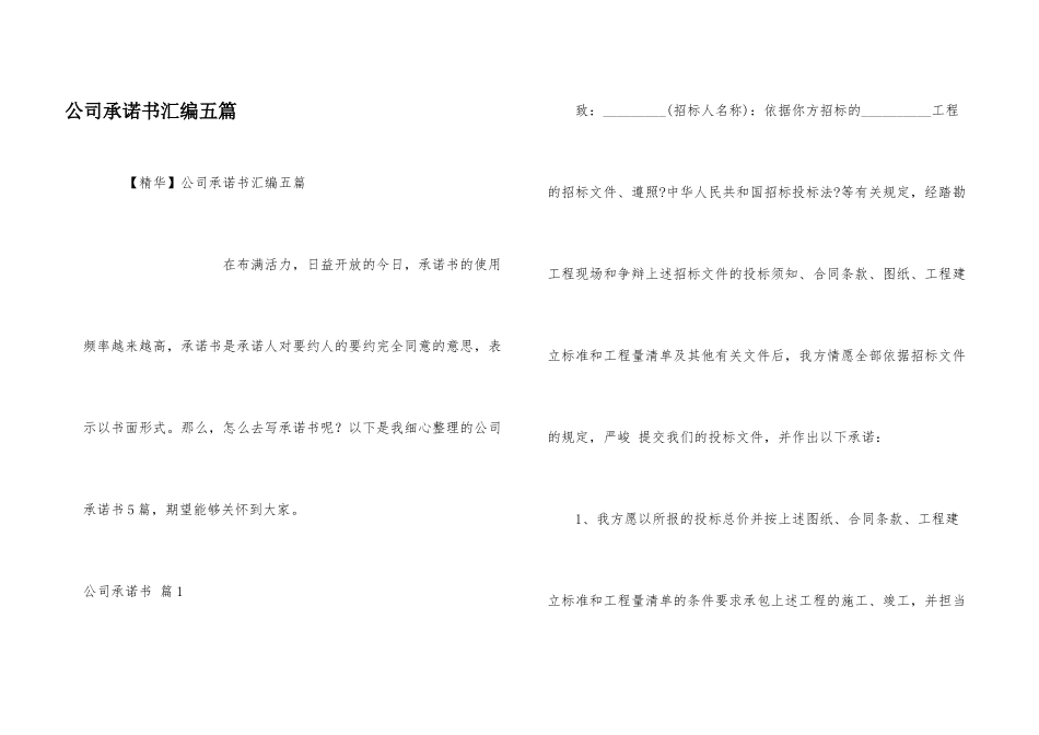 公司承诺书汇编五篇_第1页